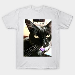 Pretty Black Cat T-Shirt